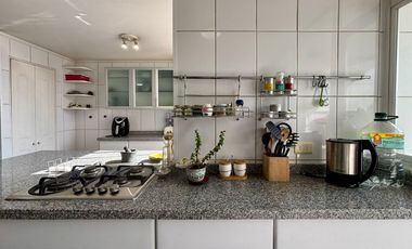 Se Vende 3 Dormitorios, Cocina Remodelada, Terraza Norte. Estacionamiento + Bodega, Providencia