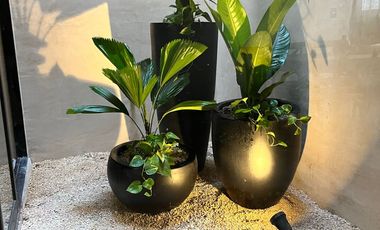 TEMOZÓN NORTE HERMOSA VILLA EN RENTA CON SU PROPIA PISCINA TIPO JACUZZI, AMUEBLADA Y EQUIPADA.