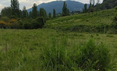 Se vende parcela agrícola 20,43 ha en la comuna de Pelarco