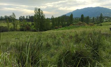 Se vende parcela agrícola 20,43 ha en la comuna de Pelarco