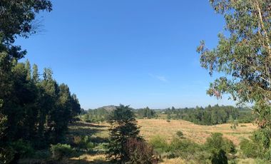 Se vende parcela agrícola 20,43 ha en la comuna de Pelarco