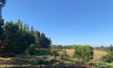 Se vende parcela agrícola 20,43 ha en la comuna de Pelarco