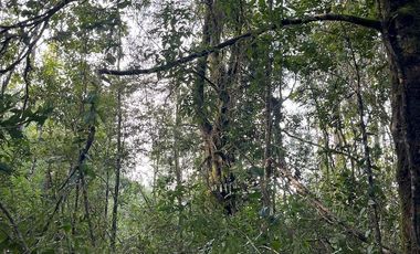 Espectacular terreno de 10 ha a 15 km de Villarrica