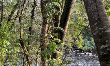 Espectacular terreno de 10 ha a 15 km de Villarrica