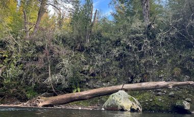 Espectacular terreno de 10 ha a 15 km de Villarrica
