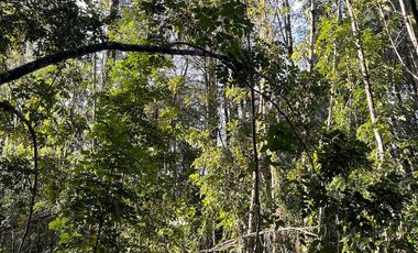 Espectacular terreno de 10 ha a 15 km de Villarrica
