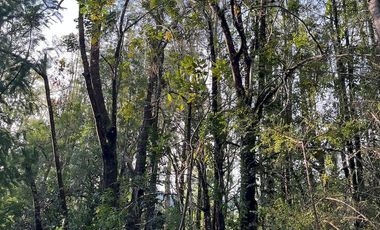 Espectacular terreno de 10 ha a 15 km de Villarrica