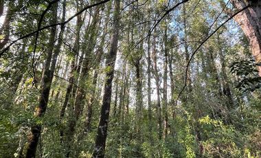 Espectacular terreno de 10 ha a 15 km de Villarrica