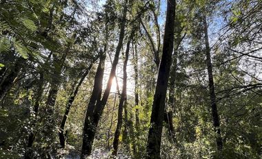 Espectacular terreno de 10 ha a 15 km de Villarrica