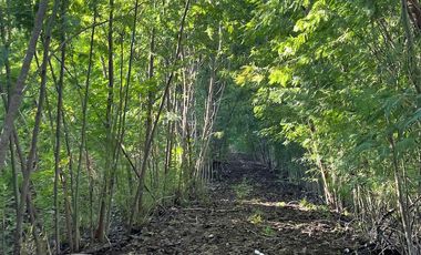 Espectacular terreno de 10 ha a 15 km de Villarrica