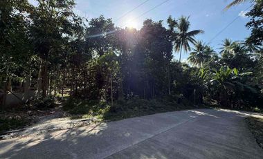 Land For Sale İn Valencia