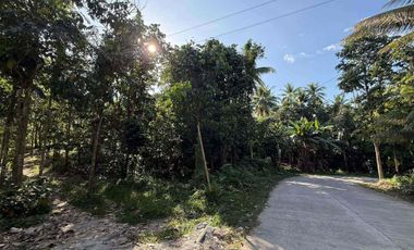 Land For Sale İn Valencia