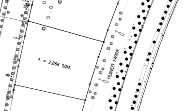 Commercial Lot for sale in Estanislao Road, Bruger Subdivision, Putatan, Muntinlupa District 1, Muntinlupa, Southern Manila District