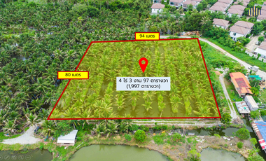 Almost Half the Market Price!! Fully Filled Land, Over 4 Rai, Rectangular Plot, on Anamai Ngam Charoen 25 Road, Tha Kham, Bang Khun Thian