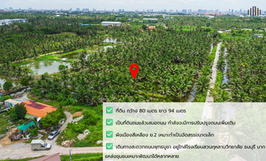 Almost Half the Market Price!! Fully Filled Land, Over 4 Rai, Rectangular Plot, on Anamai Ngam Charoen 25 Road, Tha Kham, Bang Khun Thian