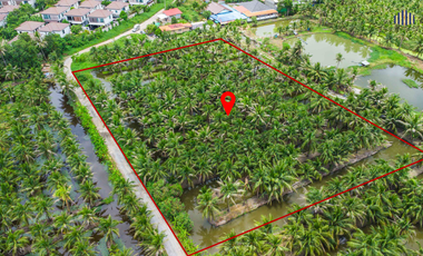 Almost Half the Market Price!! Fully Filled Land, Over 4 Rai, Rectangular Plot, on Anamai Ngam Charoen 25 Road, Tha Kham, Bang Khun Thian