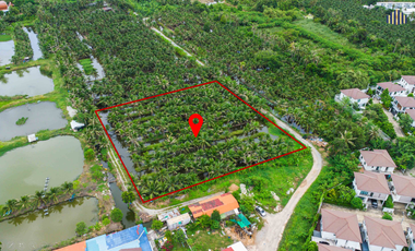 Almost Half the Market Price!! Fully Filled Land, Over 4 Rai, Rectangular Plot, on Anamai Ngam Charoen 25 Road, Tha Kham, Bang Khun Thian