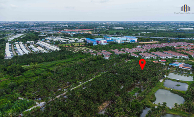 Almost Half the Market Price!! Fully Filled Land, Over 4 Rai, Rectangular Plot, on Anamai Ngam Charoen 25 Road, Tha Kham, Bang Khun Thian