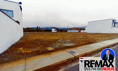 SE VENDE TERRENO EN SANTA CRUZ DE FLORES EN CAÑETE