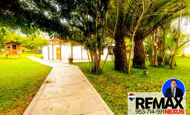 SE VENDE TERRENO EN SANTA CRUZ DE FLORES EN CAÑETE
