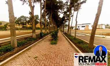 SE VENDE TERRENO EN SANTA CRUZ DE FLORES EN CAÑETE