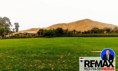 SE VENDE TERRENO EN SANTA CRUZ DE FLORES EN CAÑETE
