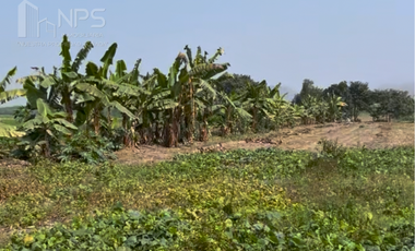 VENDO TERRENO AGRICOLA EN EX HACIENDA LA HUACA - HUARAL