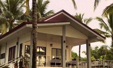 Beachfront Property for Sale in Oloc, Laua-an, Antique