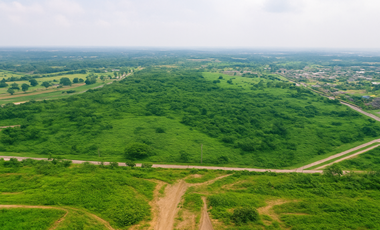 Residential Lots for Sale in Laguna’s Premier Hillside Community at Sereneo Nuvali by Alveo Land