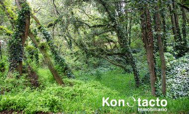 TERRENO EN VENTA EN FRACCIONAMIENTO TLALPUENTE, SAN ANDRÉS TOTOLTEPEC, TLALPAN