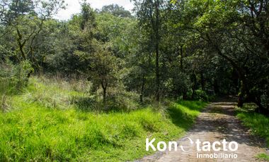 TERRENO EN VENTA EN FRACCIONAMIENTO TLALPUENTE, SAN ANDRÉS TOTOLTEPEC, TLALPAN