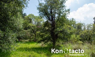 TERRENO EN VENTA EN FRACCIONAMIENTO TLALPUENTE, SAN ANDRÉS TOTOLTEPEC, TLALPAN