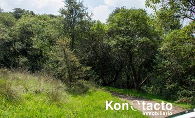 TERRENO EN VENTA EN FRACCIONAMIENTO TLALPUENTE, SAN ANDRÉS TOTOLTEPEC, TLALPAN