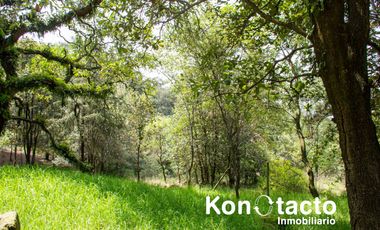 TERRENO EN VENTA EN FRACCIONAMIENTO TLALPUENTE, SAN ANDRÉS TOTOLTEPEC, TLALPAN