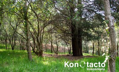 TERRENO EN VENTA EN FRACCIONAMIENTO TLALPUENTE, SAN ANDRÉS TOTOLTEPEC, TLALPAN