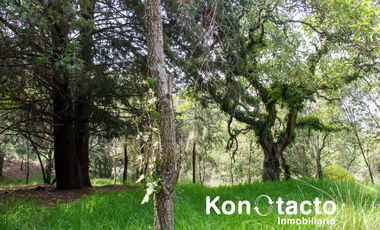 TERRENO EN VENTA EN FRACCIONAMIENTO TLALPUENTE, SAN ANDRÉS TOTOLTEPEC, TLALPAN