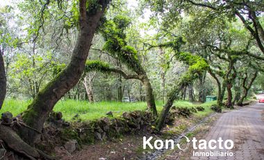 TERRENO EN VENTA EN FRACCIONAMIENTO TLALPUENTE, SAN ANDRÉS TOTOLTEPEC, TLALPAN