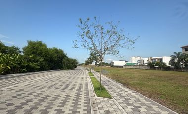 Terrenos de venta en Isla Mocolí