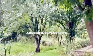 Renta de loft en condominio