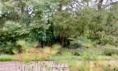 Renta de loft en condominio