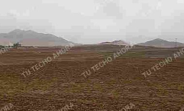 1 HECTÁREA EN CHANCAY