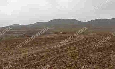 1 HECTÁREA EN CHANCAY