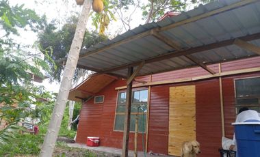 Finca de 77000 M2 Incluye Equipamiento, 2 casas, 1 galpon , 1 Tambo - Servicios instalados