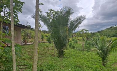 Finca de 77000 M2 Incluye Equipamiento, 2 casas, 1 galpon , 1 Tambo - Servicios instalados