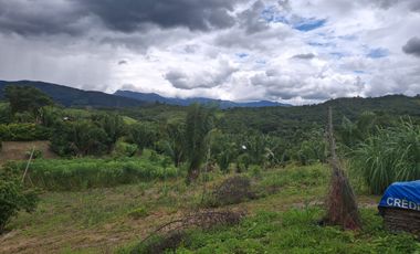 Finca de 77000 M2 Incluye Equipamiento, 2 casas, 1 galpon , 1 Tambo - Servicios instalados