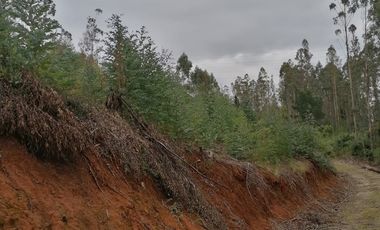 VENTA PARCELA – CONDOMINIO CASA BLANCA VALDIVIA