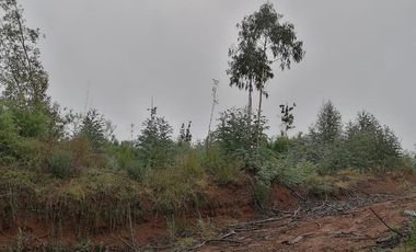 VENTA PARCELA – CONDOMINIO CASA BLANCA VALDIVIA