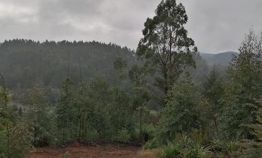 VENTA PARCELA – CONDOMINIO CASA BLANCA VALDIVIA