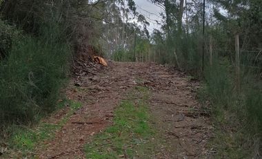 VENTA PARCELA – CONDOMINIO CASA BLANCA VALDIVIA