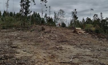 VENTA PARCELA – CONDOMINIO CASA BLANCA VALDIVIA